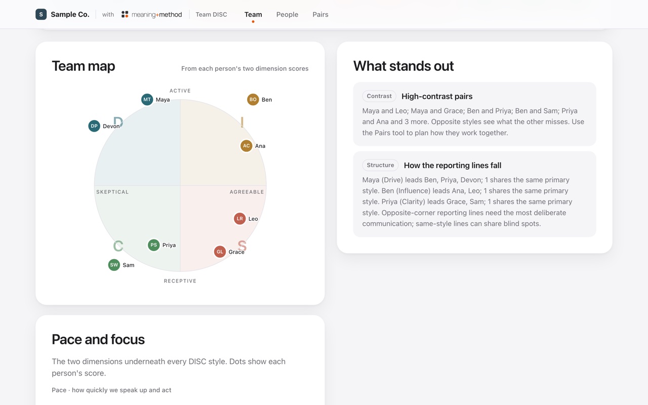 A sample team map plotting eight people by pace and focus, next to automatic insights that flag high-contrast pairs and describe how the reporting lines fall across styles.